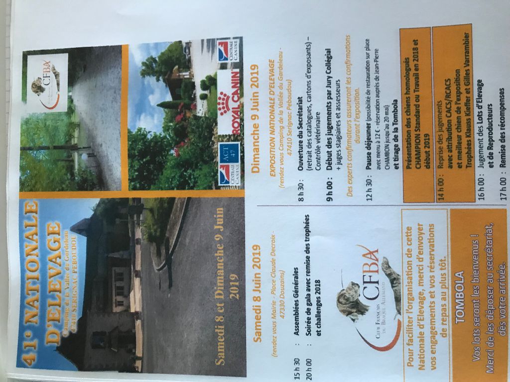 NATIONALE D ELEVAGE 2019 A DOUZAINS